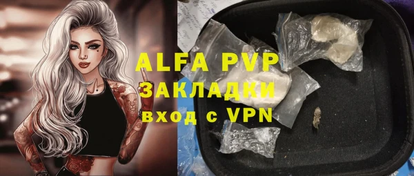стафф Абаза