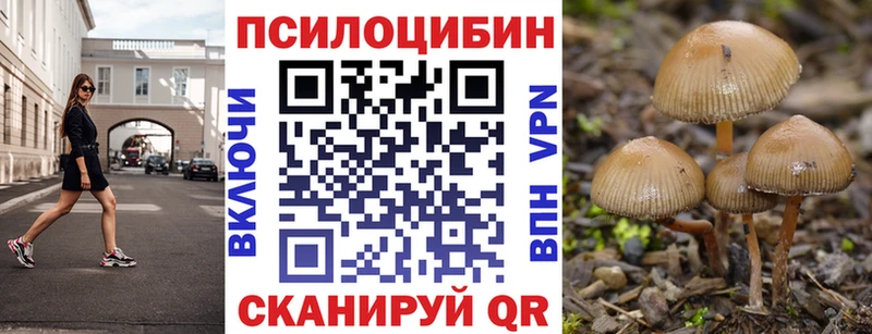 закладки  Альметьевск  Псилоцибиновые грибы прущие грибы 
