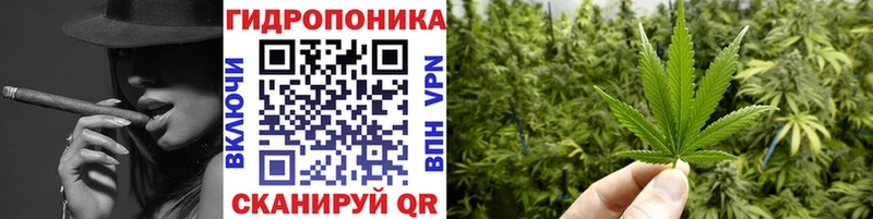 купить наркоту  Альметьевск  MEGA tor  Канабис SATIVA & INDICA 
